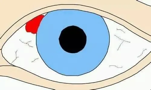 4d90fd5ef3049f7466d335c1e00553c.png