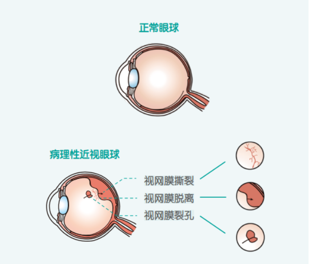 18c92a69243c7b58b334ad45aea9a7d.png