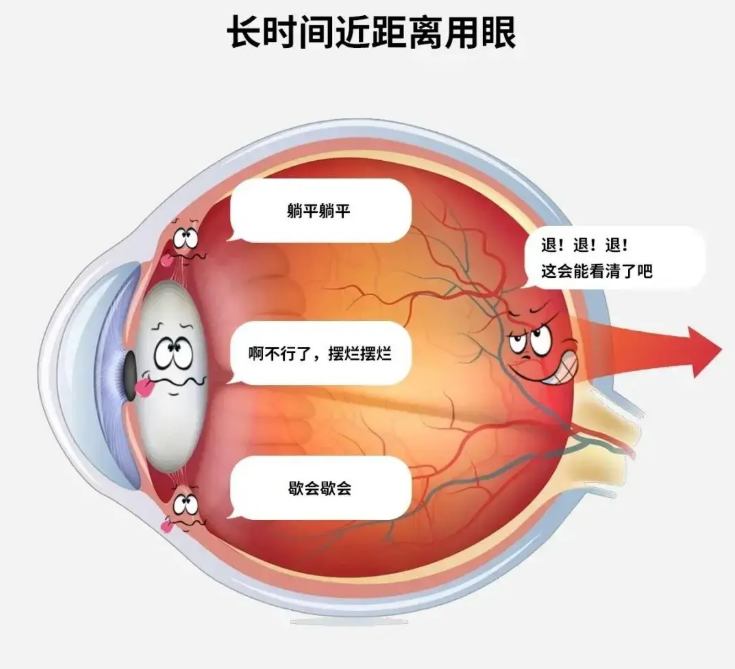 a3526ae5f77d1ac092743564db69636.png