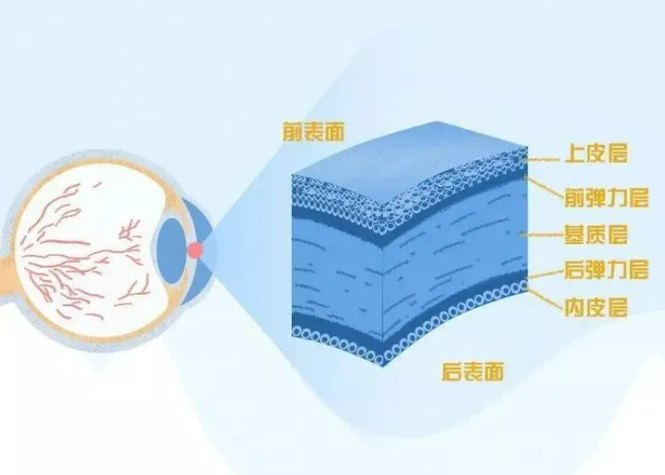 7a14cbdf40ac2cb18a29e8ace5919c7.png