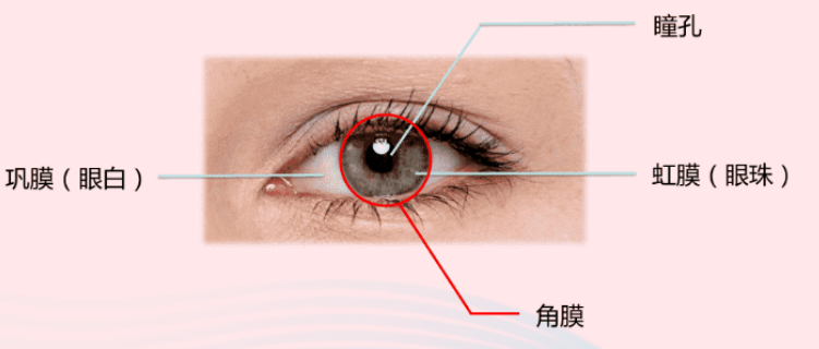 5e14ab486f125a3912f9f8a18868b69.png