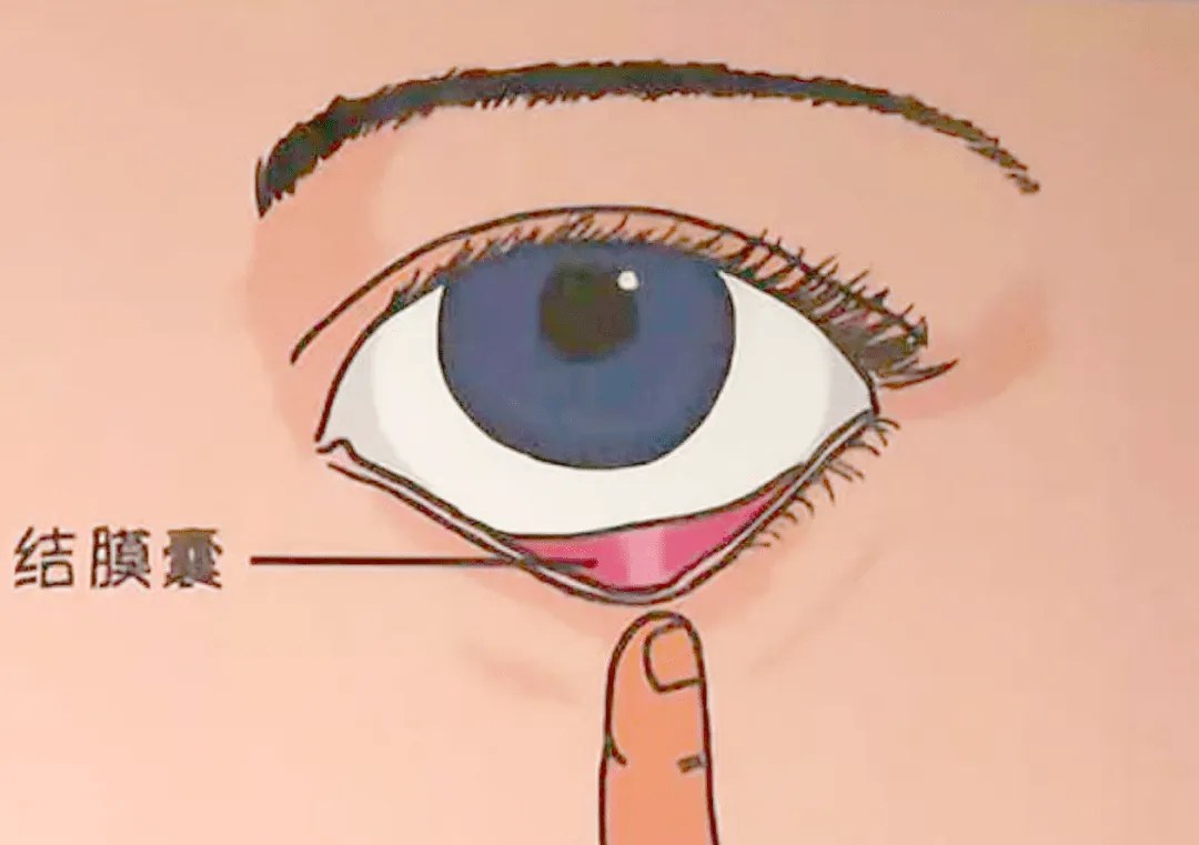 图片48.png