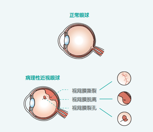 图片71.png