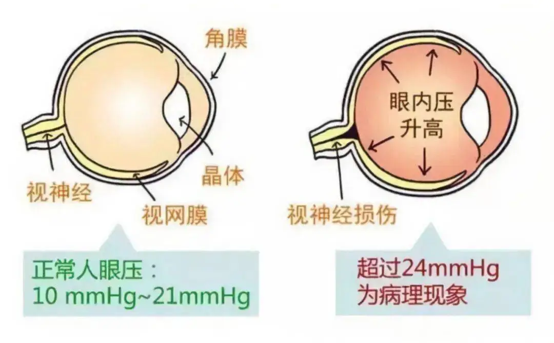 图片84.png