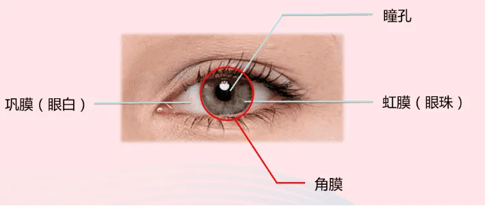 图片93.png