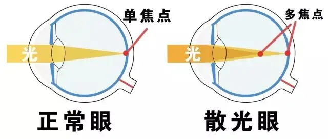 图片131.png