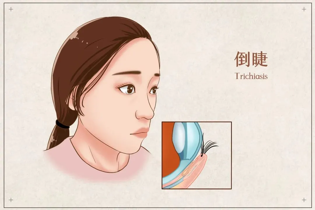 图片163.png