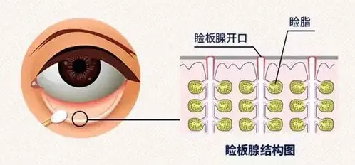 图片168.png