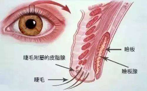 图片192.png