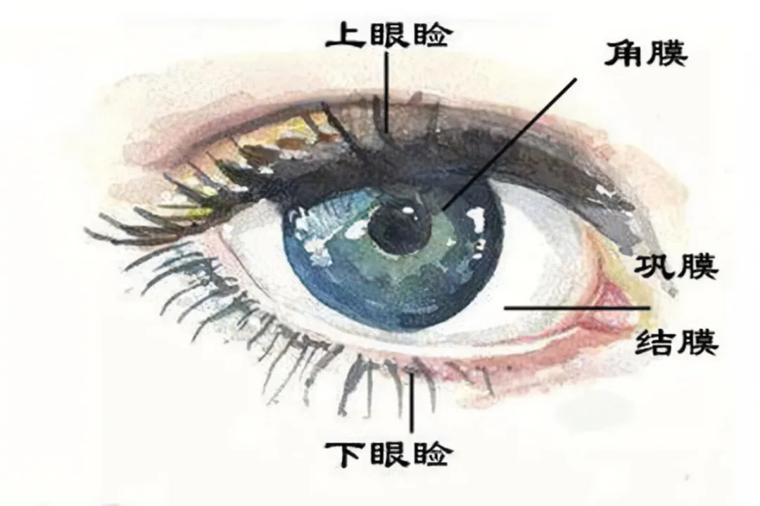 图片220.png