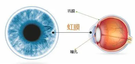 图片221.png