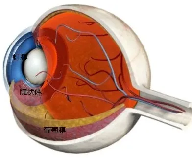 图片222.png