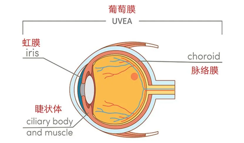 图片223.png