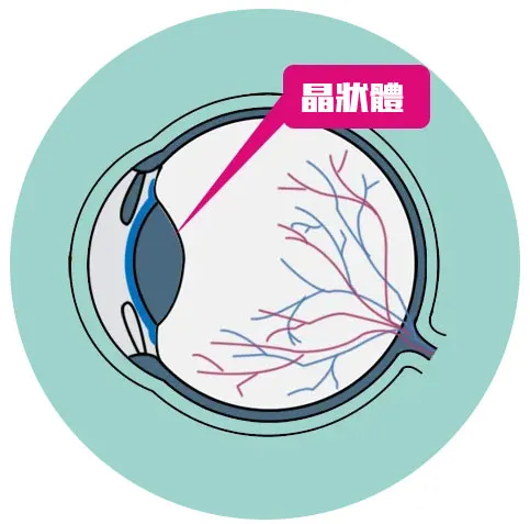 图片226.png