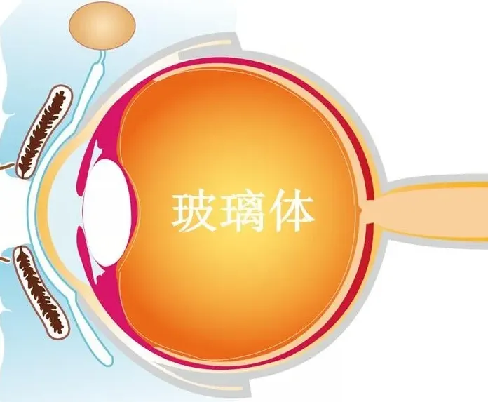 图片227.png