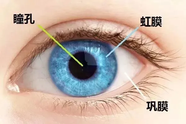 图片229.png