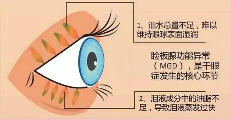 图片237.png