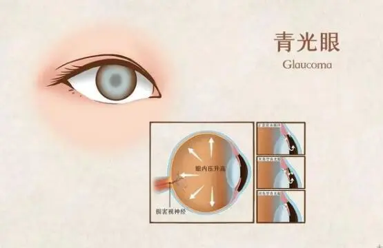 图片239.png