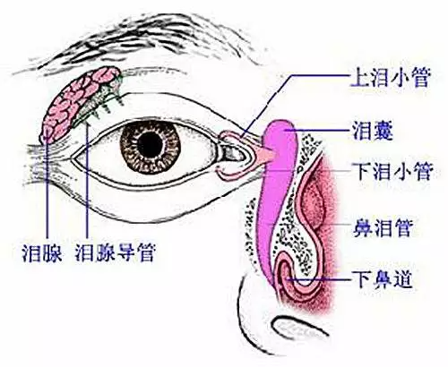 1752198109887300.png 640 (1).png