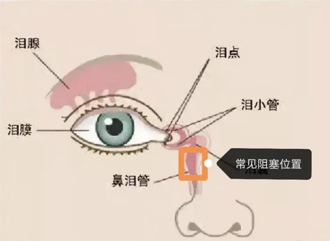1752198857705730.png 微信图片_20250711095559.png