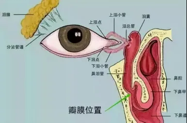 1752200223552541.png 微信图片_20250711101842.png