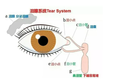 1752200985232870.png image.png