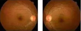 1752203626975054.png image.png