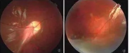 1752203639321577.png image.png