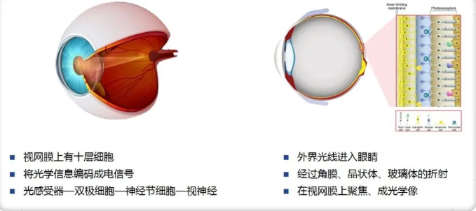 1752209092602296.png image.png