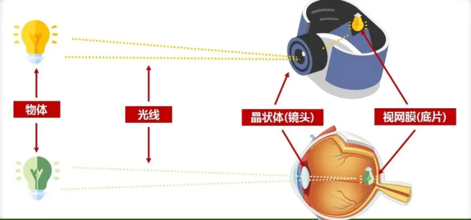 1752209110391163.png image.png
