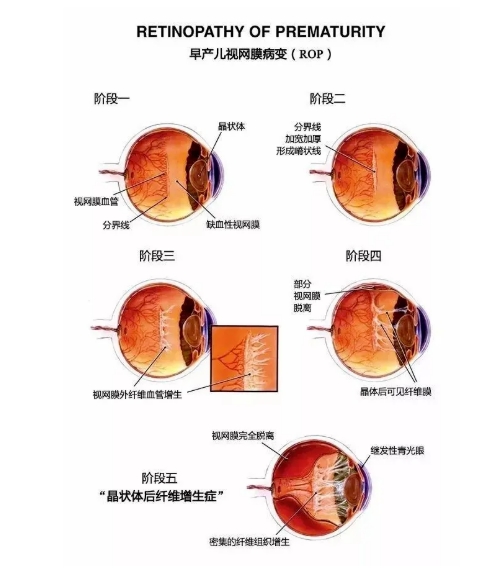 1752546049410499.png 微信截图_20250715102009.png