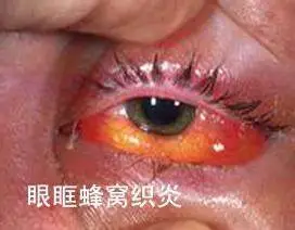 1752738522205950.png 1b169e1a8dc6e65706a89147d15080b.png