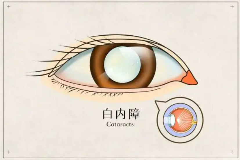 1d633ef042e99a466e7098b34ad1ea2.png
