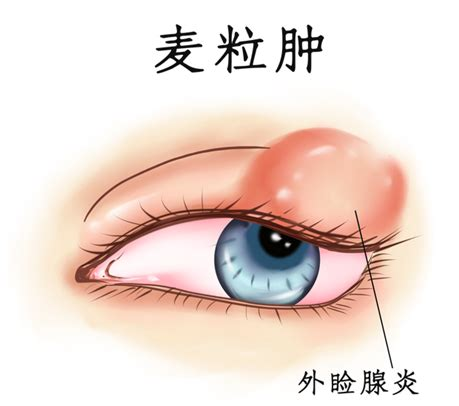 1759052975458391.png 3.png