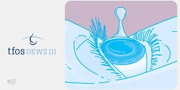 1759139006148498.jpg 1759139006148498.jpg