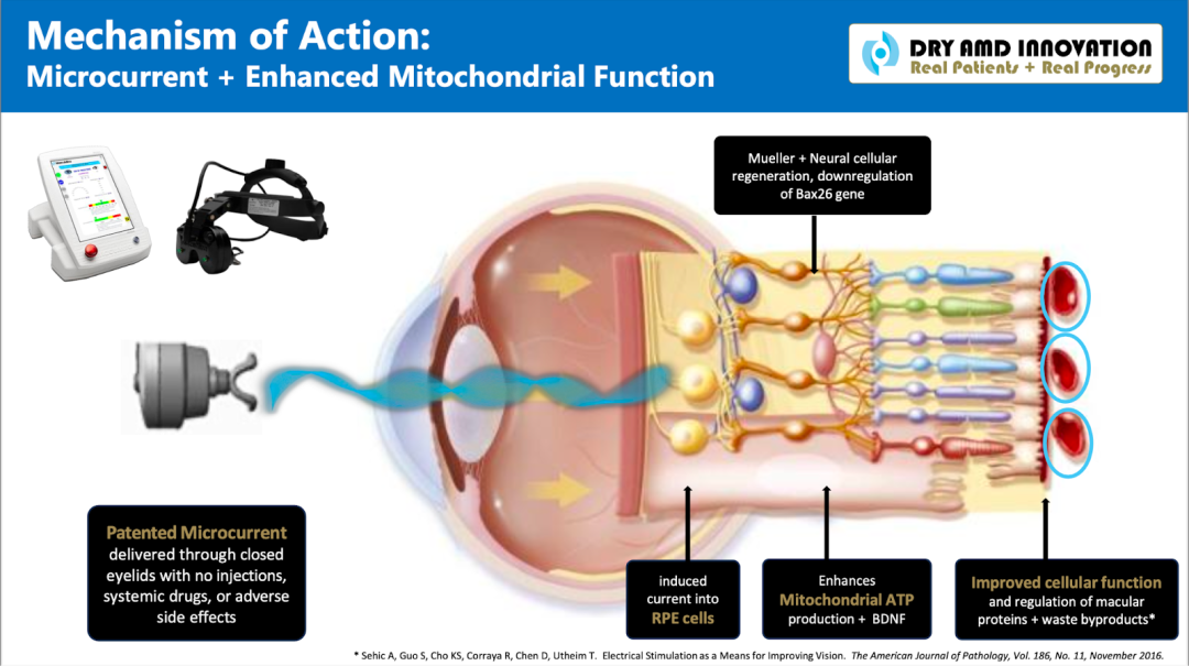 1759400495146559.png 6.png