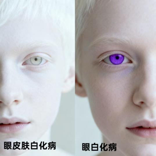 1759991546655482.png 1759991546655482.png