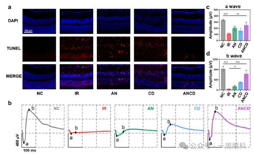 1760077051107761.png 1760077051107761.png