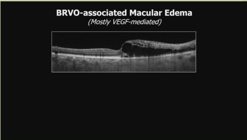 1761037758273392.png 1761037758273392.png