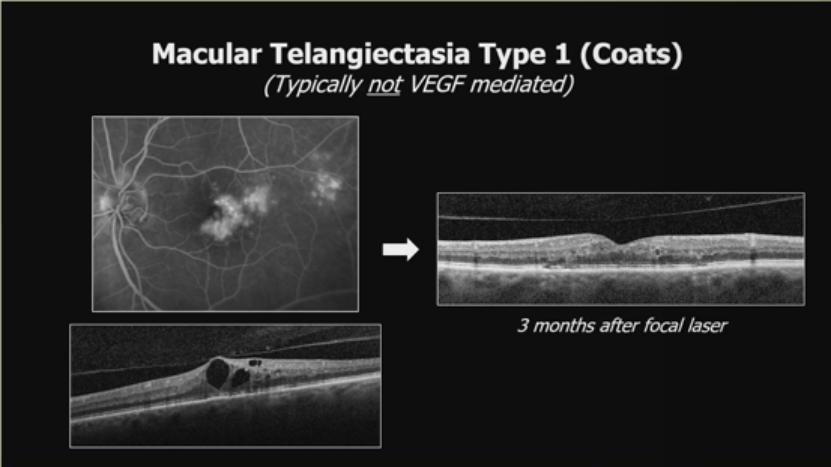 1761037796392453.png 1761037796392453.png