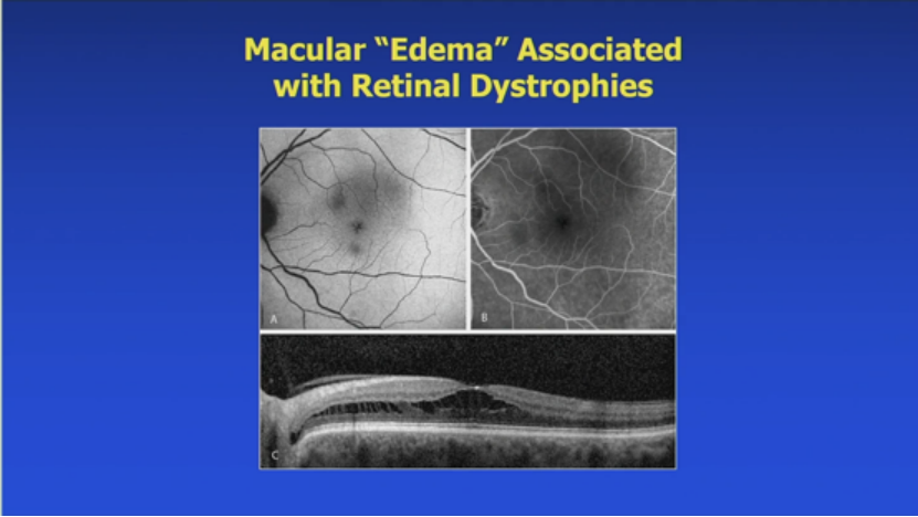 1761038007275110.png 1761038007275110.png