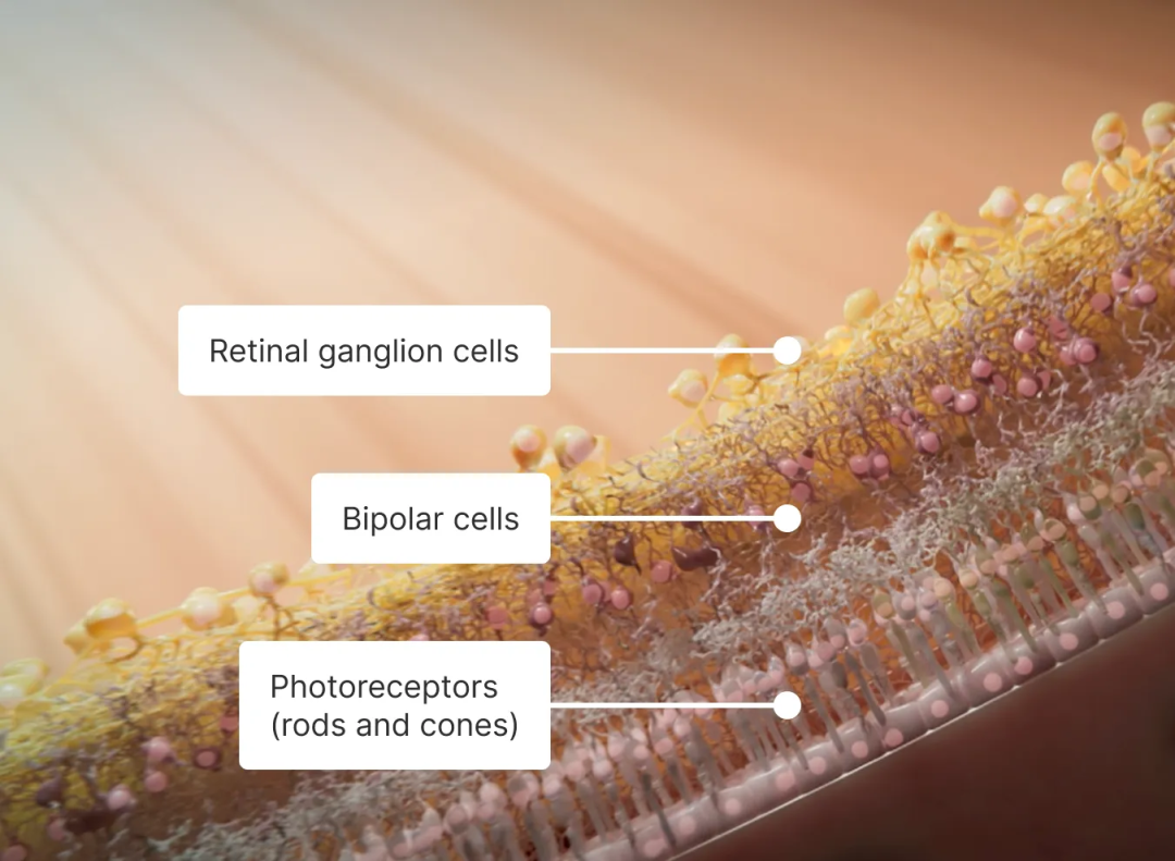 1761128467693845.png 1761128467693845.png