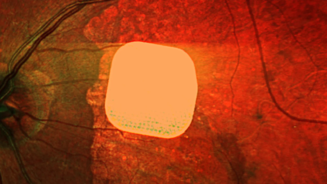 1761128497855072.png 1761128497855072.png