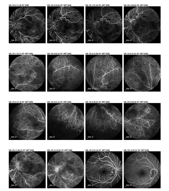 1761129028411397.png 3.png