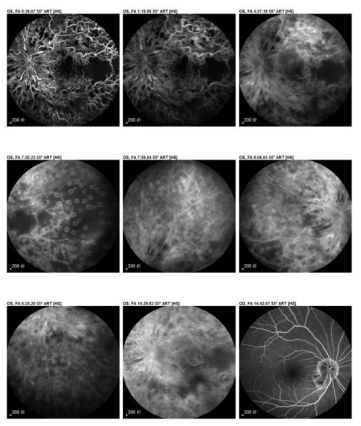 1761129080882857.png 6.png