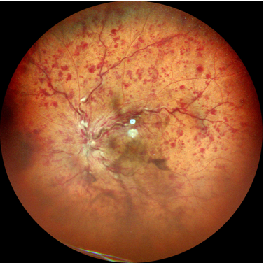 1761129330616609.png 1761129330616609.png