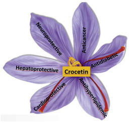 1761811423294027.png 图片27.png