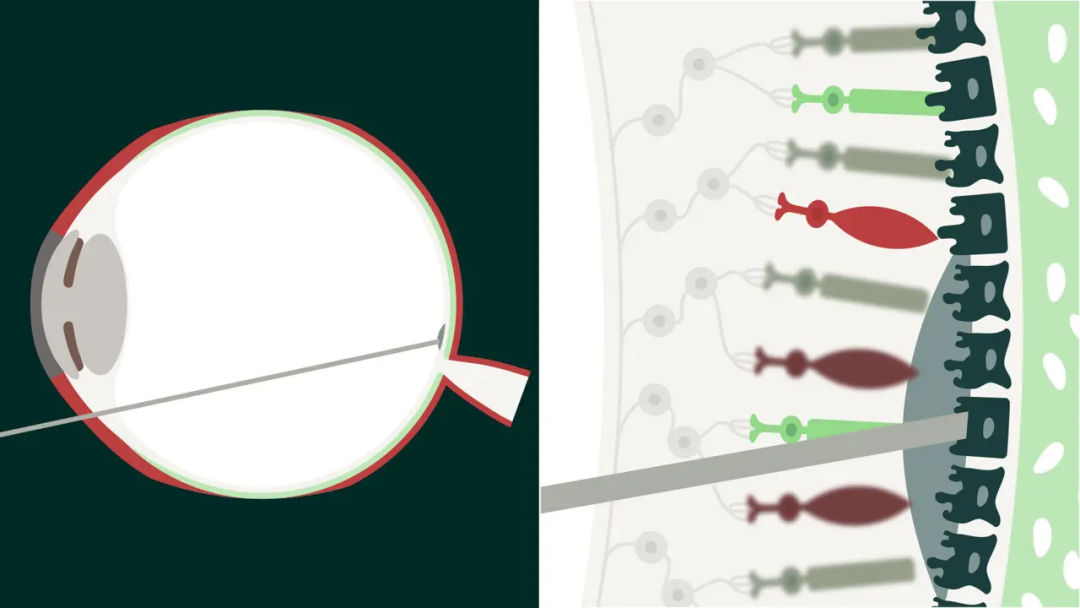 1762931765440985.png 1762931765440985.png