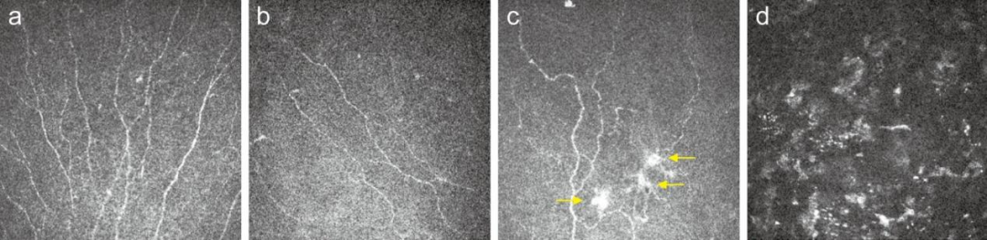 1762937565646089.png 1762937565646089.png