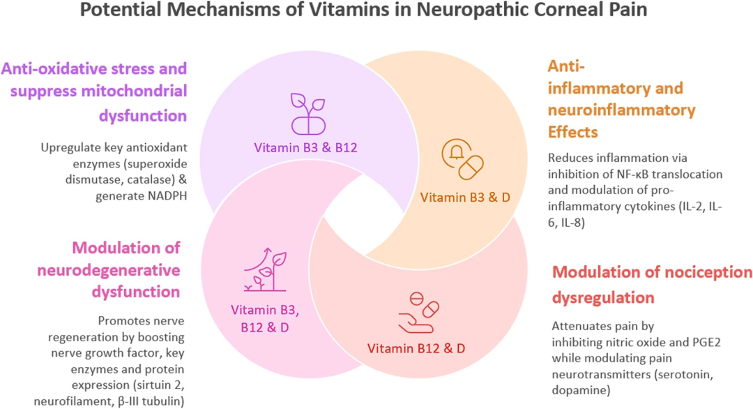 1762937575756749.png 1762937575756749.png